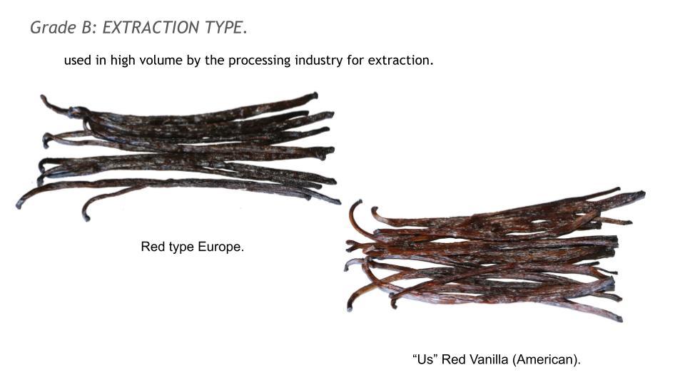 Bourbon-Vanilla-Processing-Chart..pptx12