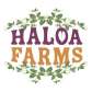 Haloa-Farms-Inc.